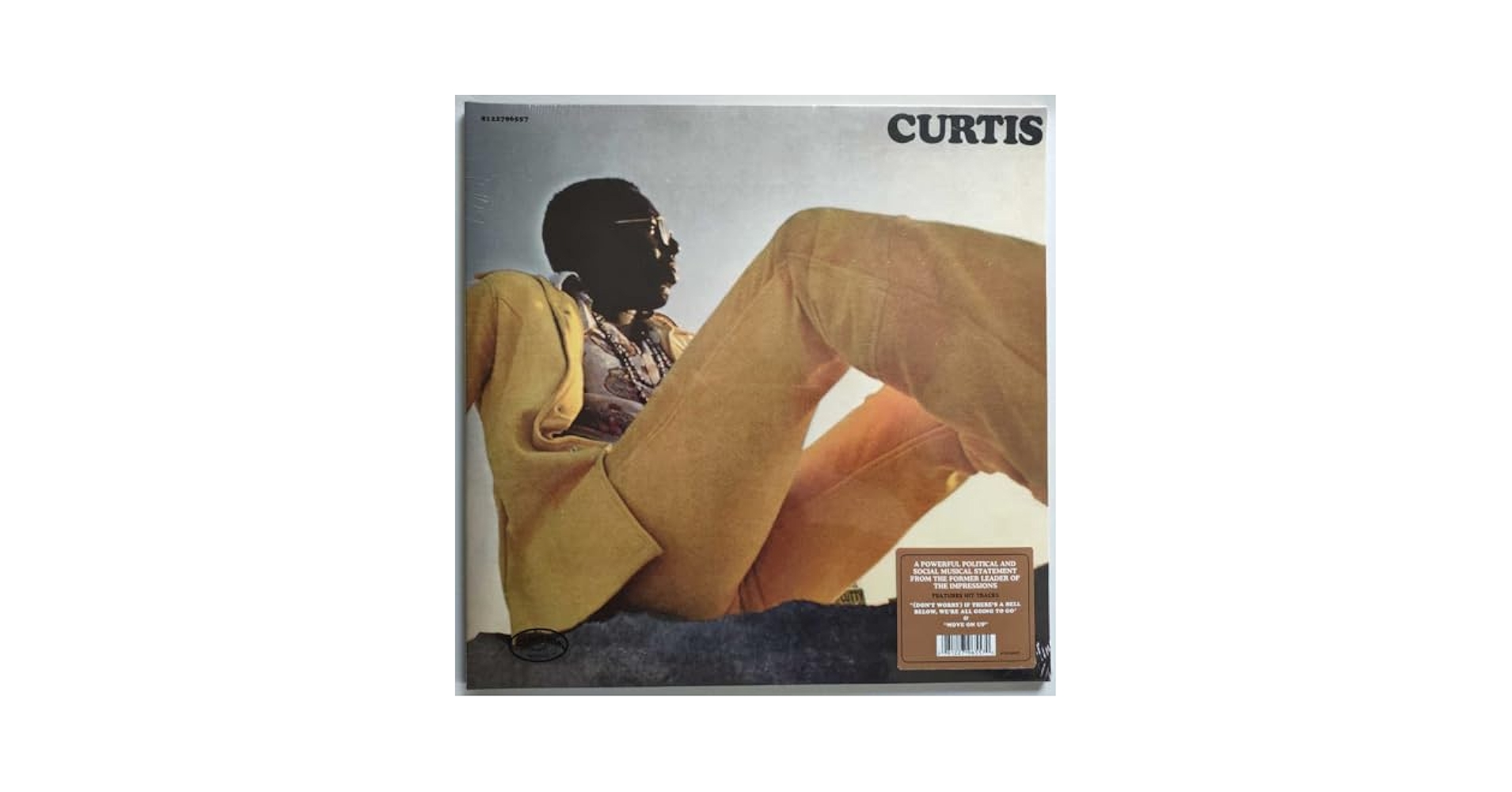 Amazon.co.jp: LPレコードCurtis Mayfieldカーティスメイ